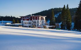 Das Waldhotel - Genuss & Wellness Am Notschreipass